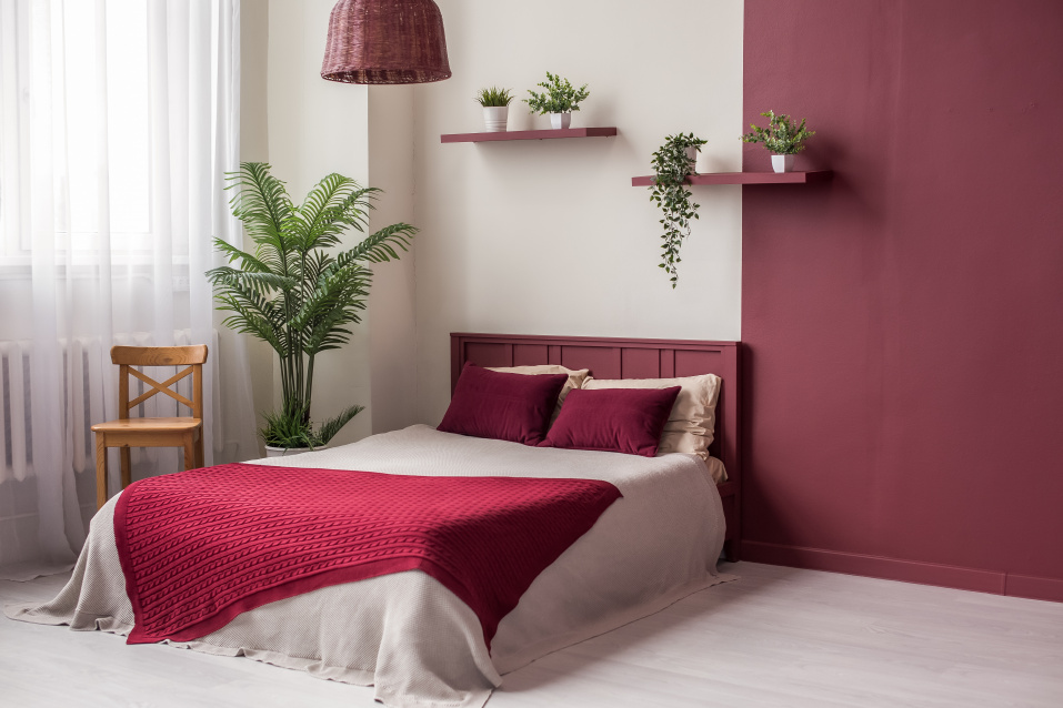 О нас – фото № 1